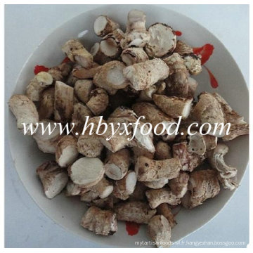 Jambe de champignons Shiitake séchée de Hubei